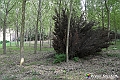 VBS_5471 - C'è un mare di velluto verde! E tu che sognavi di andare lontano... Quanta meraviglia, quì!